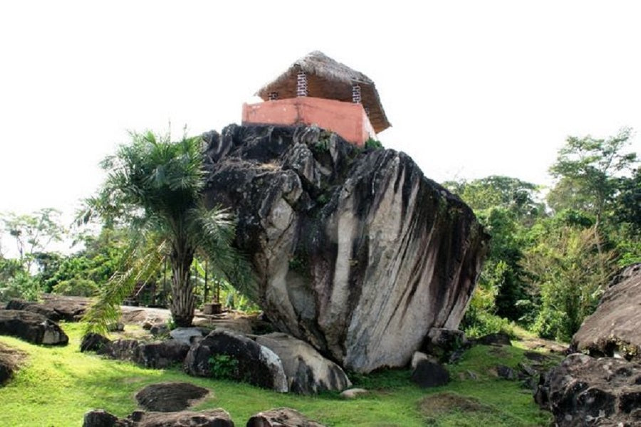 L'Odyssée Verte : Plongée au Cœur des Trésors Naturels du Cameroun avec Universal Business Tours